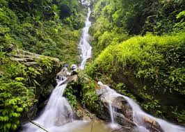 The Best Sikkim Travel Packages 2020 We Care Holidays Local media, citing eyewitness accounts, said that heavily armed security personnel had been deployed to the scene to search for those involved in the shooting. the best sikkim travel packages 2020