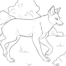 Find free printable coyote coloring pages for coloring activities. Color The National Historic Trails U S National Park Service