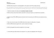 Transcription and translation worksheet answers. Transcription And Translation Worksheet Key Mcb 2410 Transcription Translation Worksheet 2 The Dna Contains The Gene For A Small Polypeptide In This Course Hero