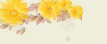 أقحوان جميلة نمط الخلفية background patterns chrysanthemum pattern