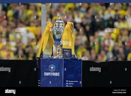 Image result for tbn:if9L2sMjE_ET9M::www.trophees-denis.com/wp-content/telechargements/coupes.jpg