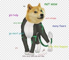 It looks similar to and is often mistaken for other japanese dog breeds like the akita inu or hokkaido, but the shiba. Shiba Inu Dog Breed Jamaica National Bobsled Team Non Sporting Group Dogecoin Doge Carnivoran Dog Like Mammal Png Pngegg