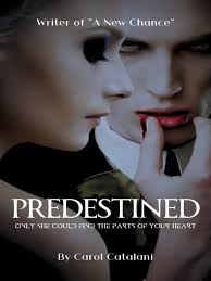 Predestined Marriage VK PDF read online free
