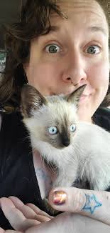 Hi everyone. My name is Picasso and I'm new to this group. My mom rescued  me about 5 years ago. I have 2sisters and a brother and they are all  different colors