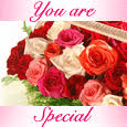 The site has wonderful cards for every occasion like birthdays, anniversary, wedding, get well, pets, everyday events, friendship, family, flowers, stay in touch, thank, congrats and funny ecards. Free Virtual Flowers Ecards Greeting Cards Greetings From 123greetings Com