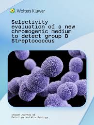 Image result for Group B Streptococcus
