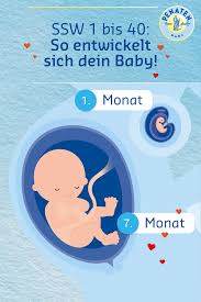 Was hilft bei schwangerschaftsübelkeit und erbrechen? Pin Auf Teaching Ideas Science