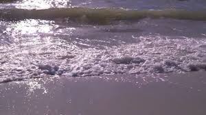 During this same time period, closed sales increased 5% and we don't anticipate red tide to affect sales this season. Red Tide Warning Naples Youtube