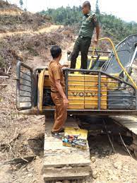 Nah kalau kamu memang berjiwa rimbawan dan ingin ikut menjaga hutan indonesia, bergabung ada sebagai polhut di klhk. Syarat Dan Cara Menjadi Polhut Dari Jagawana Ke Polhut Balai Taman Nasional Taka Bonerate