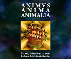 Centrul teritorial de calcul electronic s.a. Posturi Vacante Cercetare Unibuc