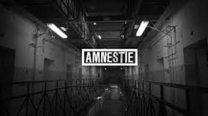V polovici júna bol preto oznámený náhradný termín, tento pripadol na 9. Predpremiera Filmu Amnestie Za Ucasti Tvorcov Program A Vstupenky Online Www Kultura Lucenec Sk