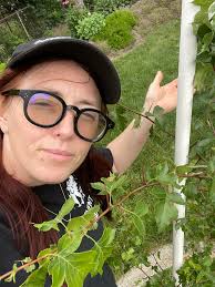 Is this a cockspur hawthorn?