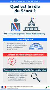 Graphique nombre de décès lecture : Infographie Quel Est Le Role Du Senat Vie Publique Fr
