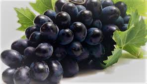 Resultado de imagen de uvas negras