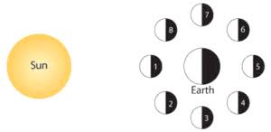 Only true fans will be able to answer all 50 halloween trivia questions correctly. Moon Phases Quiz Free Astronomy Quiz About Lunar Phases