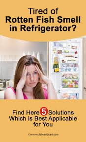 Maybe you would like to learn more about one of these? Tired Of Rotten Fish Smell In Refrigerator Fridge Smells Smelly Refrigerator Cleaning Fish