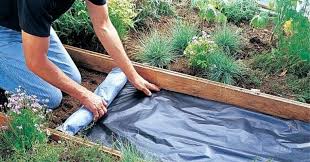 пластиковых бутылок поделки для сада своими руками из подручных материалов с описанием Dorozhki V Sadu Svoimi Rukami Plitnyak Dorozhka Sadovye Dorozhki Sad Na Sklone