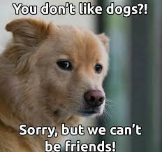 Https Www Marshallspetzone Com Dry Food 79 Nd Low Grain Chicken Pomegranate Puppy Maxi 12 Kg Farmina 8010276021953 Html Dogs Dog Love Puppy Lover