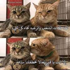 نكت انمي dora funny funny photo memes funny picture jokes