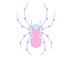 Wie Zeichnet Man Tiere Spinnen Beliebte Tierarten Anatomie Und Bewegung Design Illustration Website Entwicklung Computerspiele Und Mobile Anwendungen