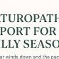 Naturopathic Support for the Silly Season event image