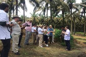 Melumpuhkan fungsi perjalanan sesuatu organisasi. Kunjungi Kebun Sawit Asian Agri Begini Kesan Para Dubes Eropa Ekonomi Bisnis Com