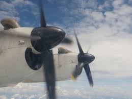 Berjaya air made travelling easier with only an hour's journey to tioman island. Malaysia Ostkuste Reisetipps Fur Tioman Die Perhentian Islands