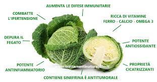 We did not find results for: Proprieta Benefiche Della Verza Trattamenti Naturali Bio