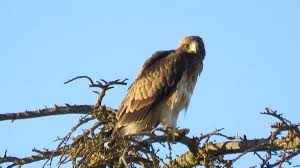 Nudiste video En uniforme médical.