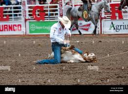 What Is The Calgary Stampede? [2024]