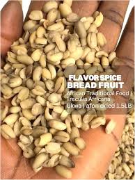 Image result for Treculia