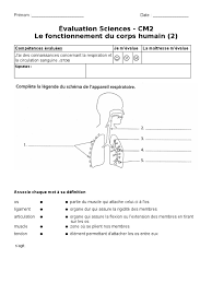 Carbohydrates, fats, and proteins are examples of respiratory substrates, and carbohydrates are the preferred respiratory substrate among them. Pdf Telecharger Evaluation Appareil Circulatoire Cm2 Gratuit Pdf Pdfprof Com