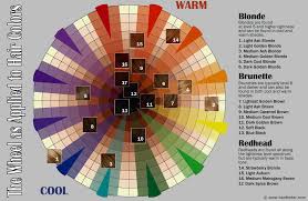 how to use the hair color wheel