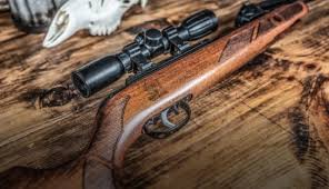 To learn more about the best air rifles for hunting. Gamo Air Rifles Airguns Pellet Rifles Co2 Air Pistols And Accessories