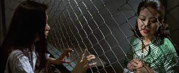 زیرنویس True Story of Woman Condemned Continues 1975 - بلو سابتايتل