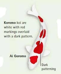 Koi Fish Color Meaning Chart 12 Koi Fish Color Meaning In English Koi Fish Colors Black Koi Fish Color Meaning Chart