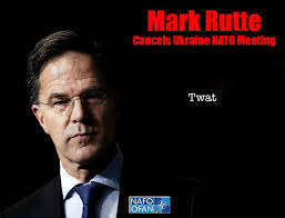 Pam Fella 🌻🌻🌻🇺🇦🇺🇦🇺🇦 Main Bastard Division (@Sharman2Pam)