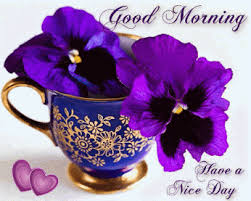 Check spelling or type a new query. Morning Glory Gif Find On Gifer