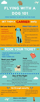 Flying With An In Cabin Dog 101 Travelhund Com Dog 101 Flying Dog Dog Friends