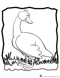 Use our special 'click to print' button to send only the image to your printer. Goose Coloring Page Woo Jr Kids Activities