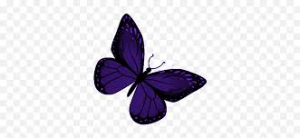With tenor, maker of gif keyboard, add popular butterfly animated gifs to your conversations. Butterfly Indigo Gif Butterfly Indigobutterfly Transparent Purple Butterfly Gif Png Free Transparent Png Images Pngaaa Com