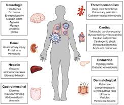 Cel mai usor se apreciaza pulsul carotidian: Studiu Coronavirusul AfecteazÄƒ Intreg Organismul Nu Doar PlÄƒmanii È™i CÄƒile Respiratorii Biziday