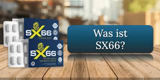 SX66 Testbericht 2025 » Kunden berichten von ihrer Erfahrung