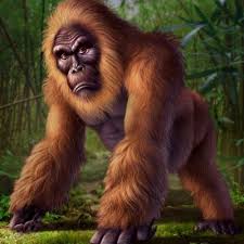 Gigantopithecus — blacki gigantopithecus bilaspurensis el gigantophithecus fue un género de primates gigantes que vivió durante el pleistoceno, hace unos trece millones de años y se extinguió. Gigantopithecus Tallstrongyeti Twitter