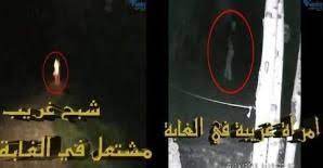 غابات مرعبه مقاطع مخيفة جدا صورة داخل الغابات 18 books to read reading books