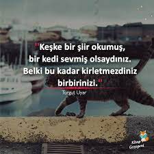 siir edebiyat felsefe alintilar sozler panosundaki pin