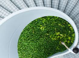 Stiegen Verfliesen Im Eingangsbereich Ein Haus Bauen Eingang Stiegen