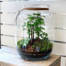 Bonsai Trees In A Terrarium By Power Of Nature Terrariums From The Netherlands Follow Us Terrarium Imaginari Garden Terrarium Plants In Jars Terrarium