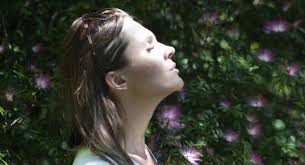 Allison Richard, Author at TUT