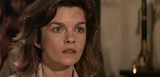 Amazon.com: Der scharlachrote Pirat: 4020628789312: Bloom, Jeffrey,  Wheeler, Paul, Addison, John: Books